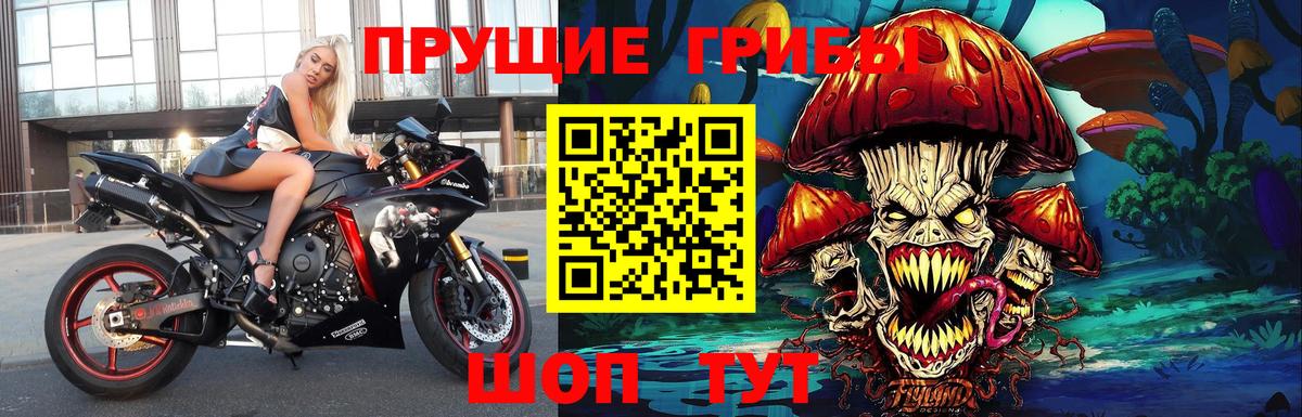 Галлюциногенные грибы Cubensis Когалым